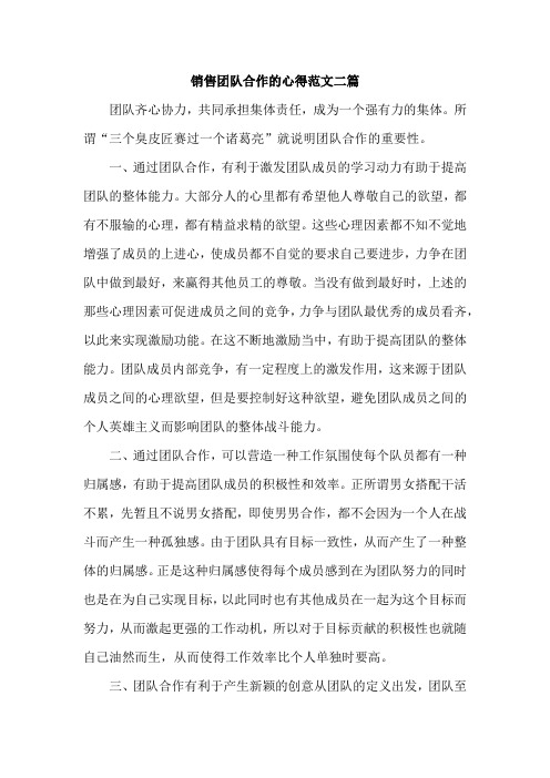 销售团队合作的心得范文二篇