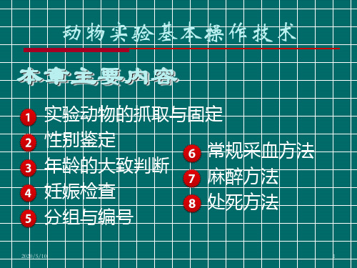 实验动物基本操作技术