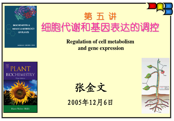 研究生高级植物生化第五章细胞代谢和基因表达的调控