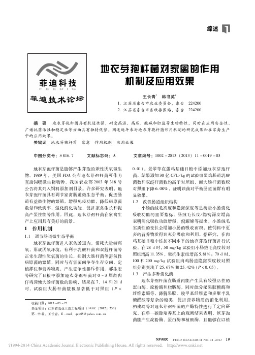 地衣芽孢杆菌对家禽的作用机制及应用效果_王长青