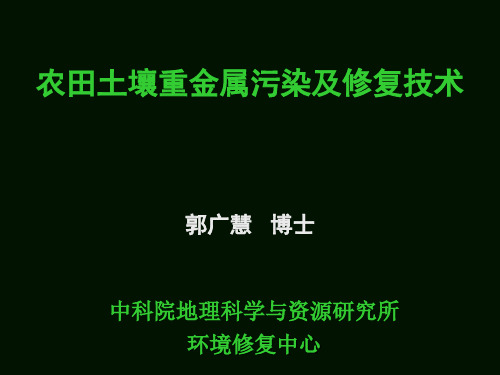 土壤污染和土壤修复技术——郭广慧