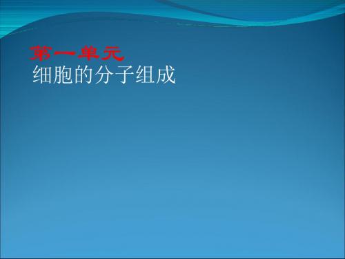 高中生物新人教版必修123第一轮复习全部课件.ppt