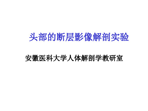 头部的断层影像解剖实验