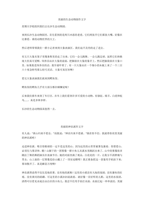 美丽的神农顶作文400字