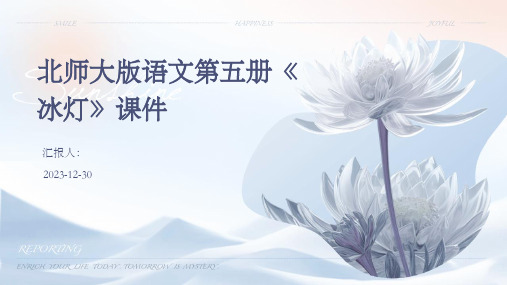 北师大版语文第五册《冰灯》课件