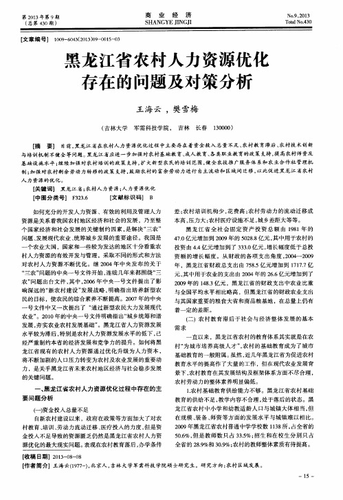 黑龙江省农村人力资源优化存在的问题及对策分析