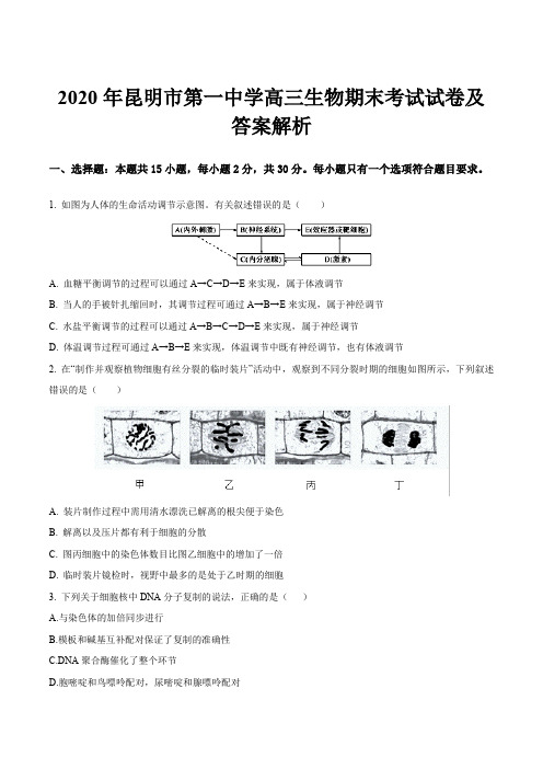 2020年昆明市第一中学高三生物期末考试试卷及答案解析