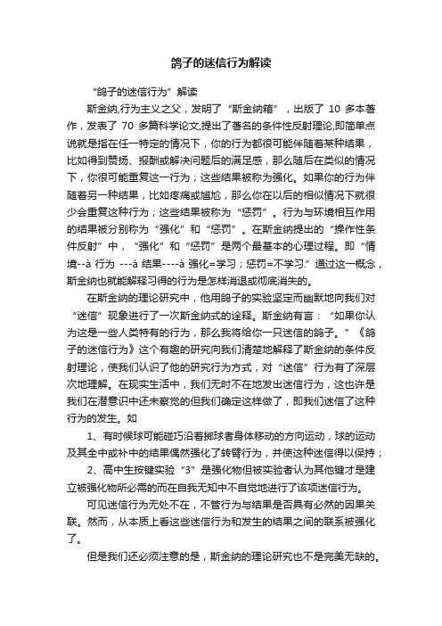 鸽子的迷信行为解读