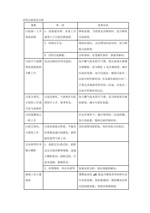 活性污泥状况分析