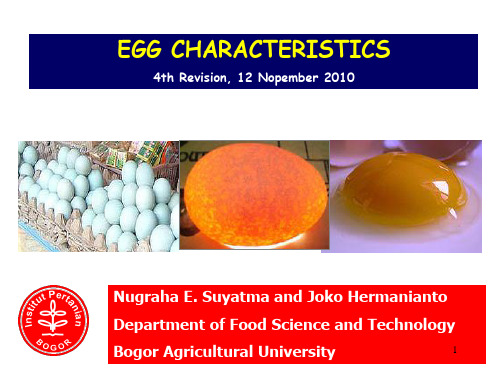 Formation of the egg - Nugraha Edhi Suyatma