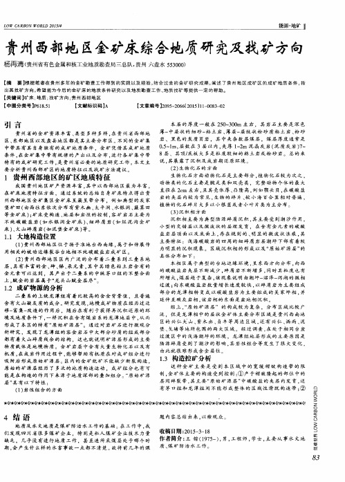 贵州西部地区金矿床综合地质研究及找矿方向