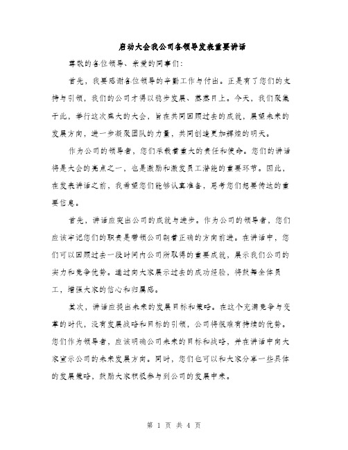 启动大会我公司各领导发表重要讲话（2篇）