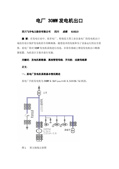 电厂30MW发电机出口