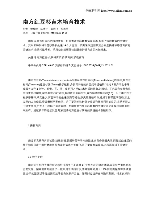 南方红豆杉苗木培育技术