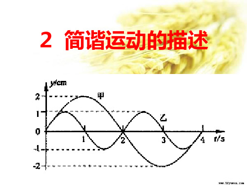 2、简谐运动的描述