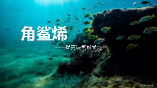 中粮中宏生物：提高缺氧耐受力,精神焕发好身体