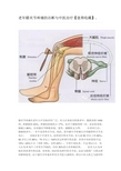 -老年膝关节疼痛的诊断与中医治疗【值得收藏】