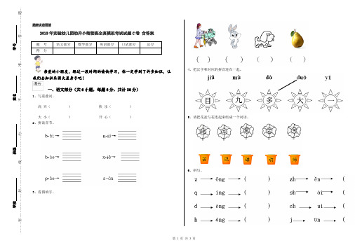 2019年实验幼儿园幼升小衔接班全真模拟考试试题C卷 含答案