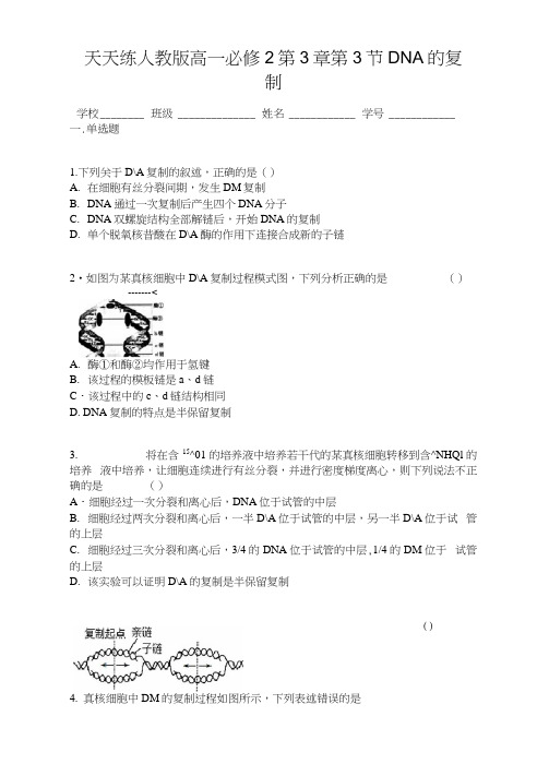 天天练人教版高一生物必修2第3章第3节DNA的复制