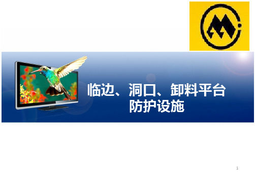 临边、洞口、卸料平台防护设施演示幻灯片