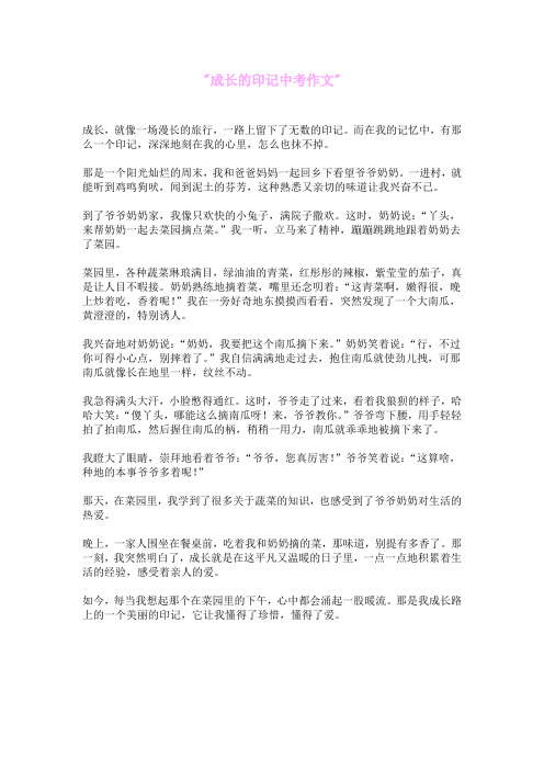 成长的印记中考作文