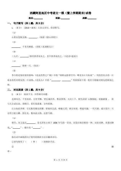 西藏阿里地区中考语文一模(暨上学期期末)试卷