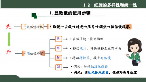 生物必修11.2细胞的多样性和统一性(共18张PPT)