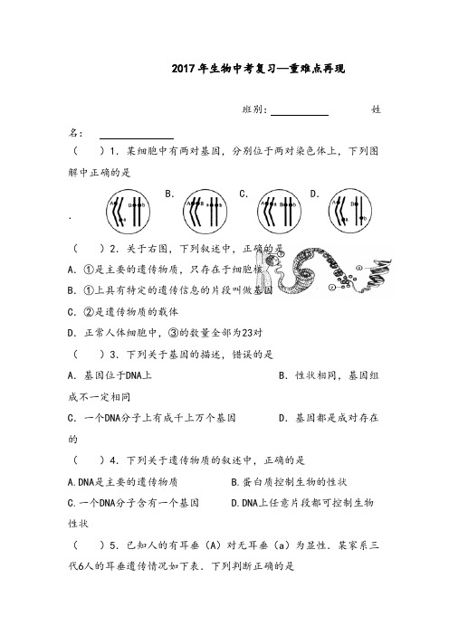 新人教版初中八年级生物下册中考复习——重难点再现