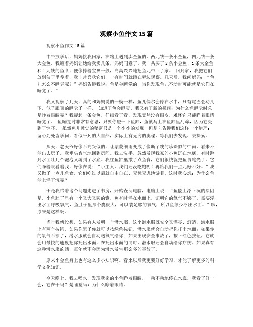 观察小鱼作文15篇