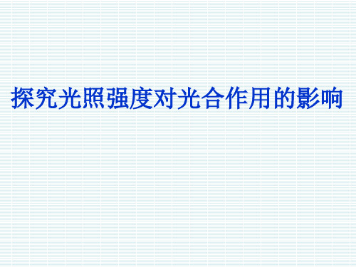 初中生物_光照强度对光合作用的影响教学课件设计