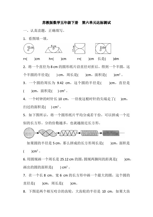 苏教版五年级下册数学  第六单元达标测试(含答案)