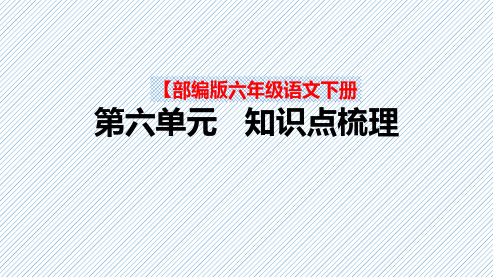 【复习总课件】部编版六年级语文下册第六单元+期末总复习知识点梳理