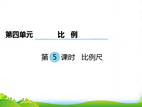 苏教版六年级数学下册 面积的变化 优质课件 