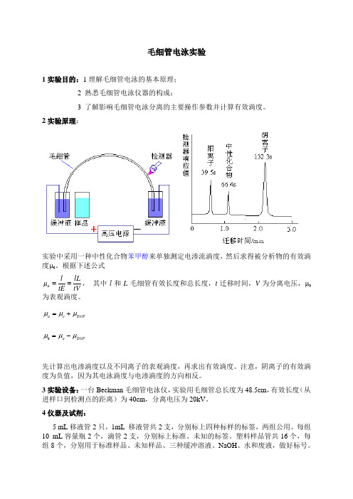 毛细管电泳实验