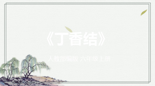 《丁香结》课件(共32张PPT)