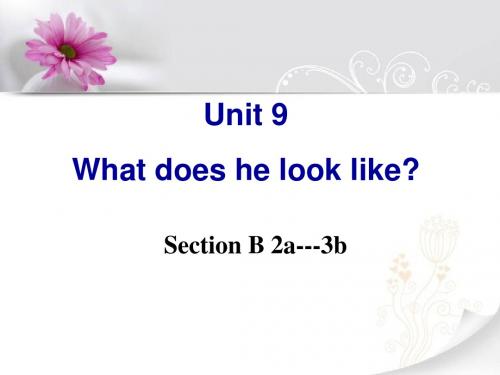 2013新版七年级英语下册Unit9_What_does_he_look_like_Section_B__2a---3b