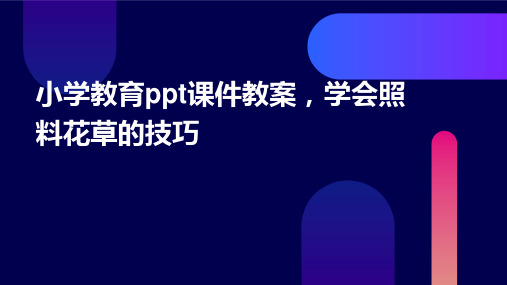 小学教育ppt课件教案,学会照料花草的技巧