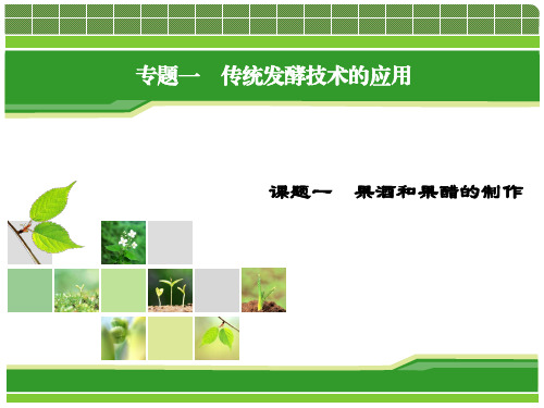 专题一传统发酵技术的应用