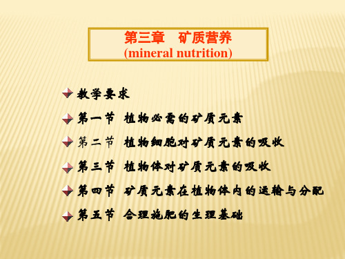植物生理学-03-矿质营养