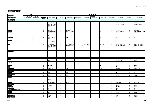 内部控制手册第 部分 内控矩阵 C ——财务报告计划矩阵