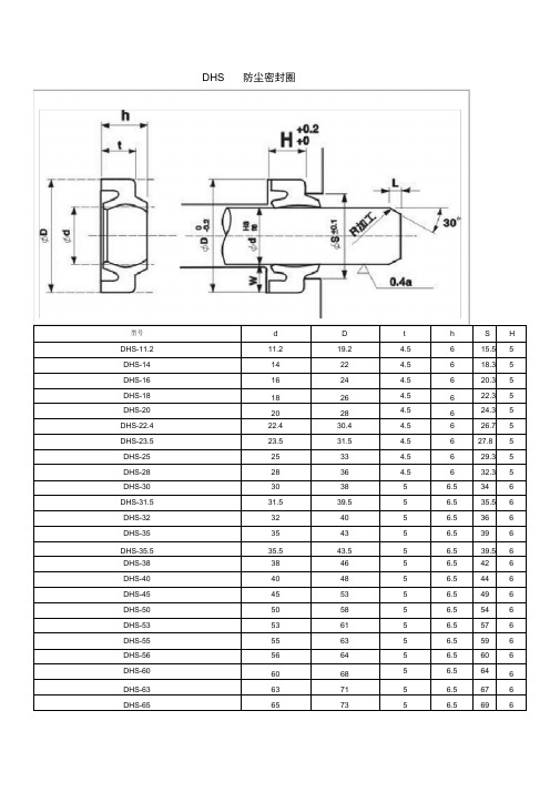 (完整版)DHS密封圈.docx