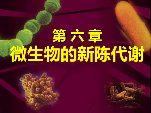 第六章微生物代谢.pptx