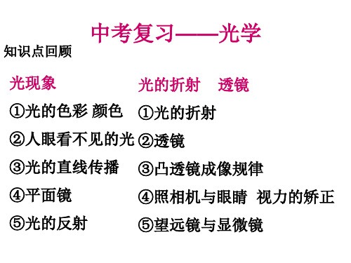 2021年人教版物理中考二轮复习四五章光现象 透镜