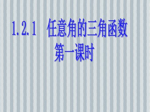 2013广东省佛山市中大附中三水实验中学高二数学课件1.2.1《任意角的三角函数》1(新人教A版必修4)