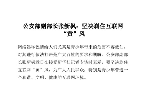 公安部副部长张新枫:坚决刹住互联网“黄”风