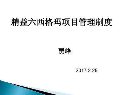 精益六西格玛项目管理制度