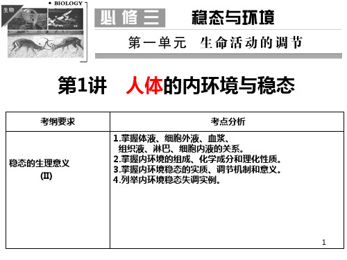 人体内环境PPT课件