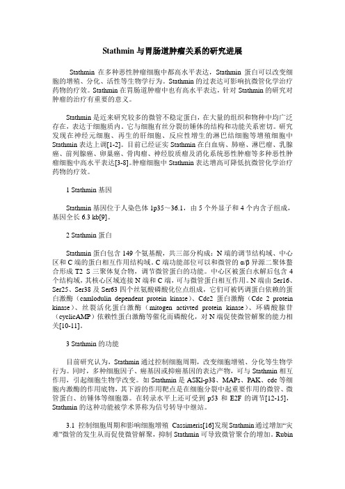 Stathmin与胃肠道肿瘤关系的研究进展