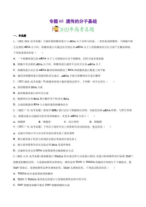 专题05 遗传的分子基础-三年(2020-2022)高考真题生物分项汇编(全国通用)(原卷版)