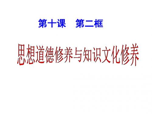 高二政治思想道德修养和知识文化修养